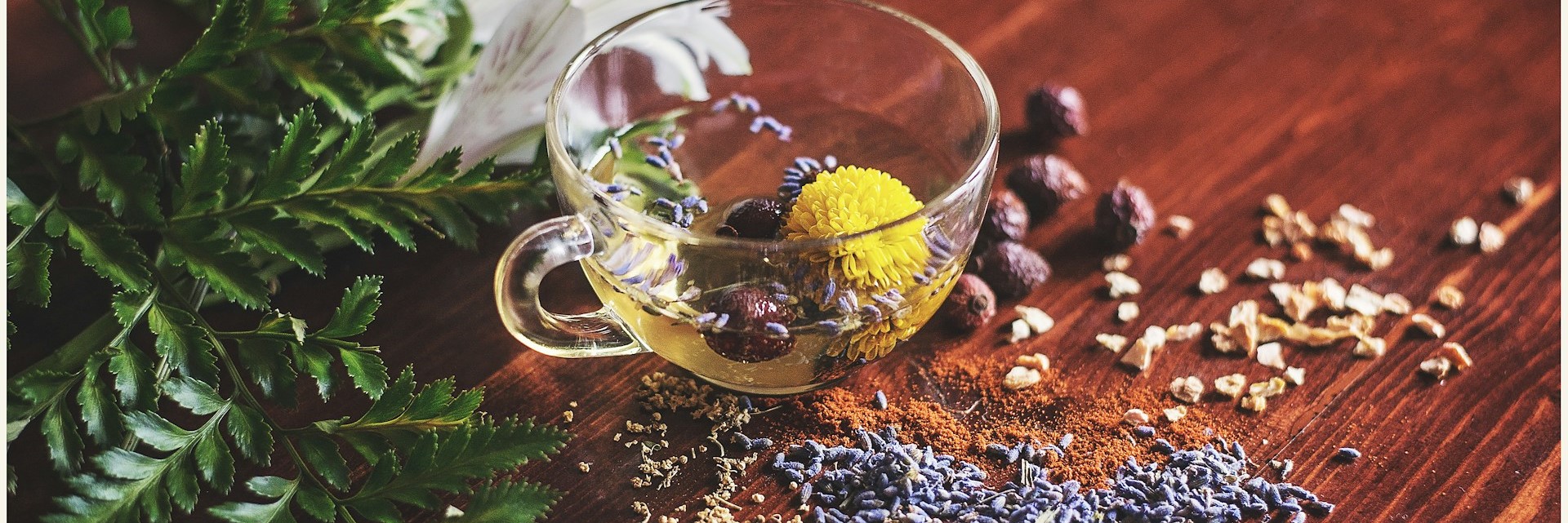 Фитотерапия для здоровья