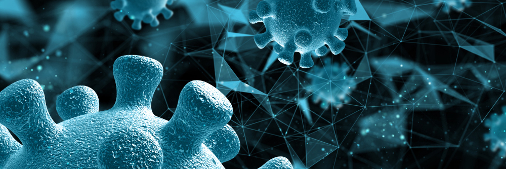 Коронавирус от животных человеку