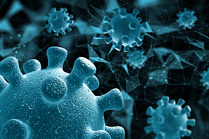 Передается ли коронавирус от животных к человеку?