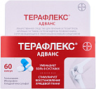Терафлекс  Адванс капс №60 